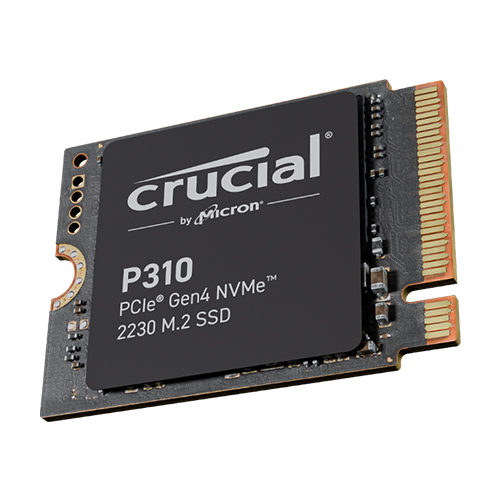 ����ũ�� Crucial P310 M.2 2230 NVMe �ƽ�ũ��