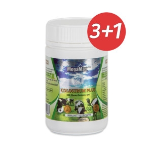 �ް��ƽ��������� 3+1 ���� �÷��� 700mg 300�� ����