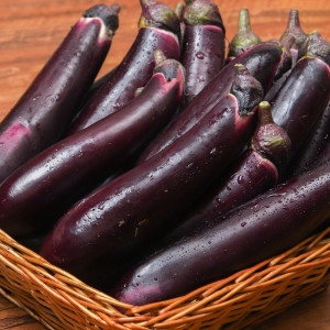 백미양식 특상품 가지 5kg_이미지