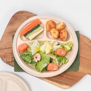 LD 9인치 3칸 펄프접시 행사 피크닉 일회용 접시 500개