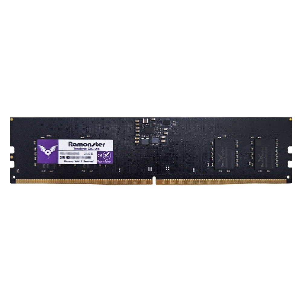 Terabyte Ramonster DDR5-4800