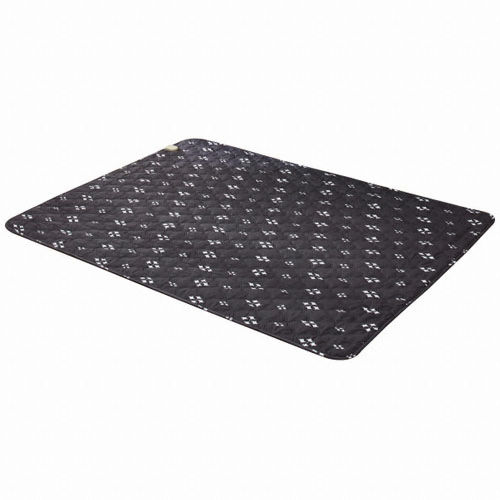��ȣ�÷��� ���� ���ڰ� �Ƚ� ���ݴ��̾� �����