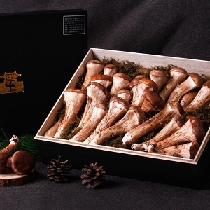 감동몰 프리미엄 참송이버섯 특품 선물세트 1kg (1개)_이미지