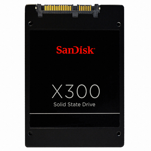 Sandisk X300 해외구매