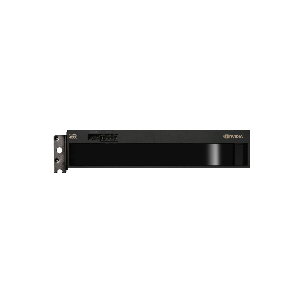 NVIDIA RTX PRO 4000 Blackwell SFF����� D7 24GB ���� (��ũ)