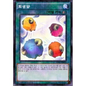 ����̵�� ����� ī����� ����ī�� ���ø��� �����