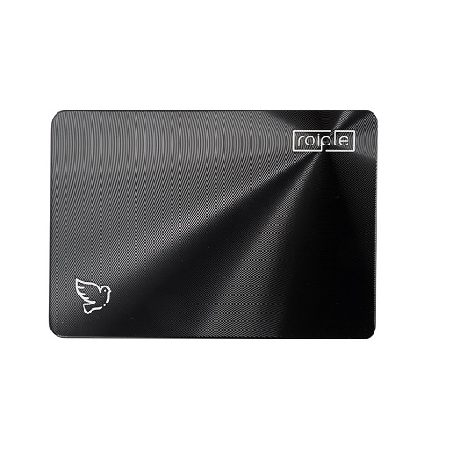 디오테라 ROIPLE DOVE SSD (512GB)
