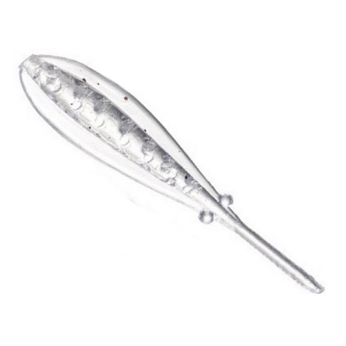 시마노 EW-202R 염월 바쿠바쿠 트레일러 마이크로 오징어 [국내배송]