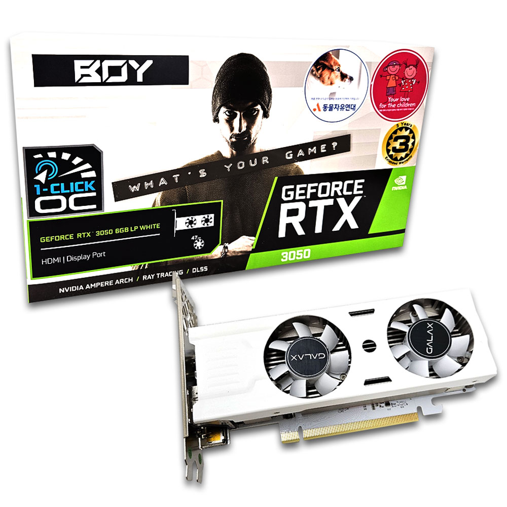 ������ BOY ������ RTX 3050 WHITE D6 6GB LP