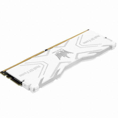 ������ HOF DDR4-4000 CL19 Special Edition ��Ű��