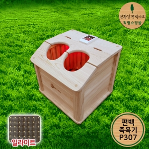 친환경편백아트 P307