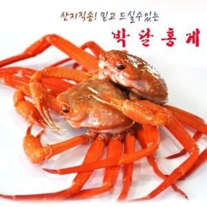 st푸른농원 경북 영덕 박달홍게 [5개]