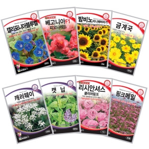 꽃씨앗 허브씨앗 씨앗모음