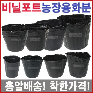 화분프라자 비닐 포트 2치(30개)_이미지
