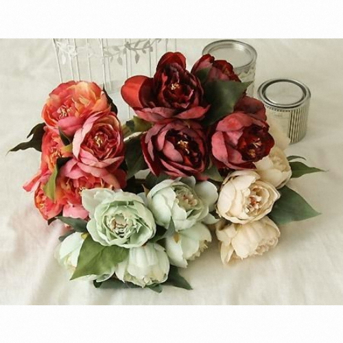 �������� �ƽ��Ľþ� �Կ�ƽ �ö�� ����