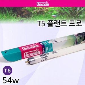 ��ī��� ��ī��� T5 �÷�Ʈ ���� 54w 115cm/��ǰ ���ʿ� ������/���� ��ī��� ��