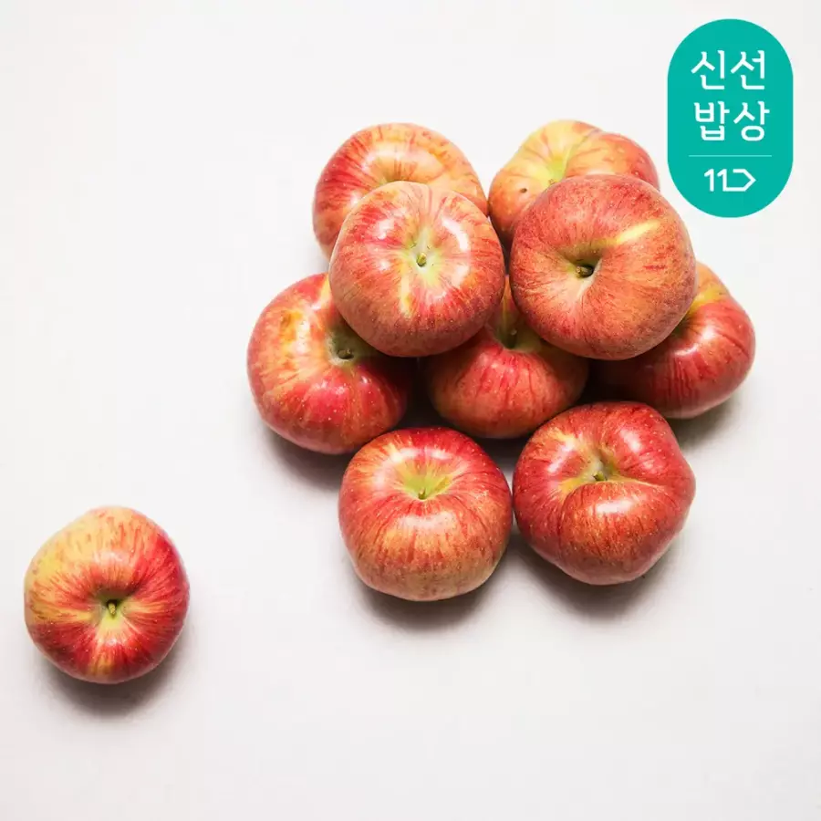  아침햇살영농조합법인 흠집 쭈글이 멍 덜익은 사과 랜덤 8kg [1개]