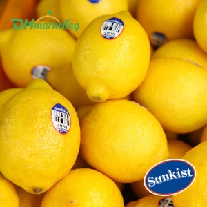 팬시 레몬 특대과 내외 미국산/ 증정이벤트