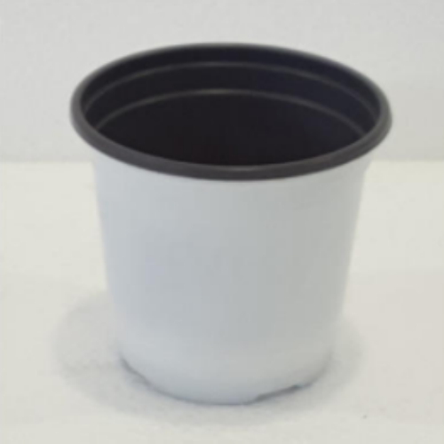 왁스콜렉션 이색포트 흰색 100 비닐포트 화분 모종 분갈이흙