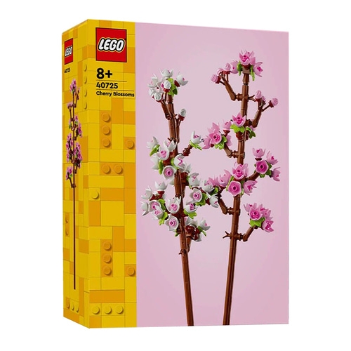 ���� ���� (40725)