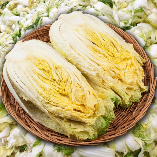 더조은 HACCP 해남 김장 절임배추 20kg 7-10포기_이미지