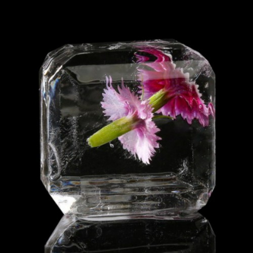 �������̽� �������Ŀ