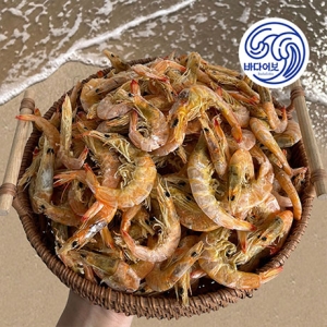 바다어보 국산 건새우 1kg 상급 마른새우 보리새우 건어물