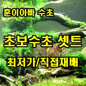 하나아쿠아 경기도 용인 훈이아빠수초  초보수초세트 세트수초_이미지