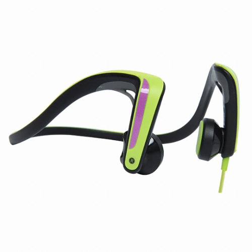 �ĳ��Ҵ� RP-HGS10