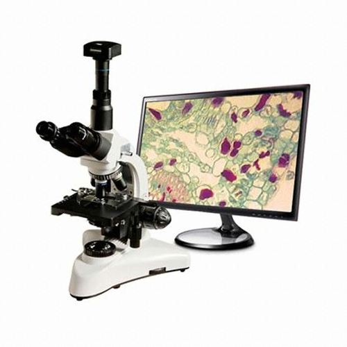 DBM-T1600 생물 현미경