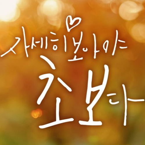 제제데코 자동차스티커 캘리벨로아 B001 자세히 (반사)_이미지