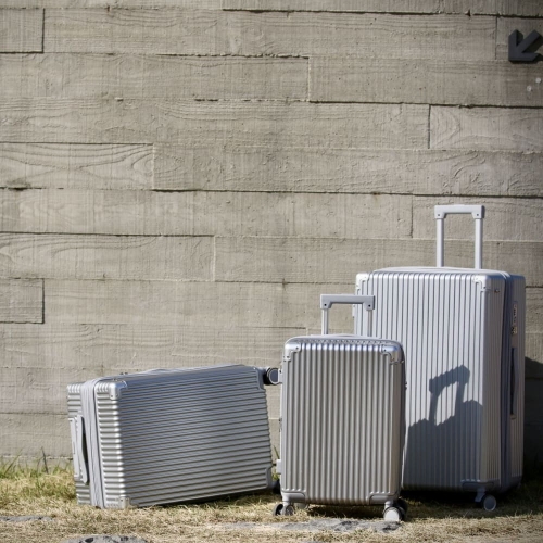 인포트 포스 캐리어 (20인치)