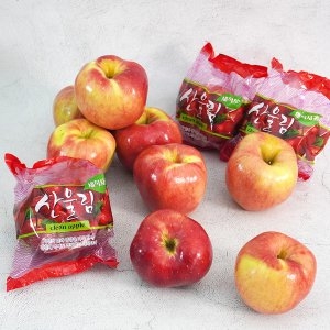 더조은푸드 경북 햇 홍로 세척 사과 정품 23~28과 5kg (1개)_이미지