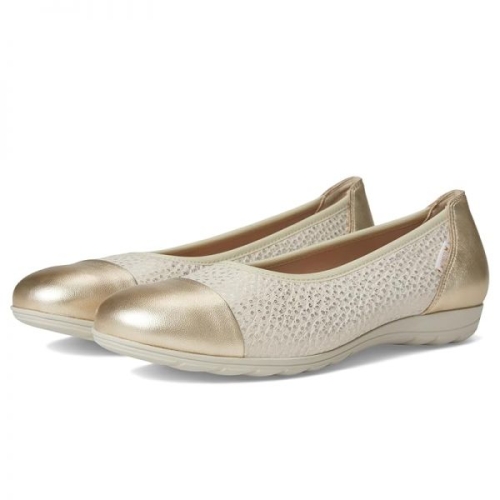 메피스토 Mephisto 에리카 1 142001