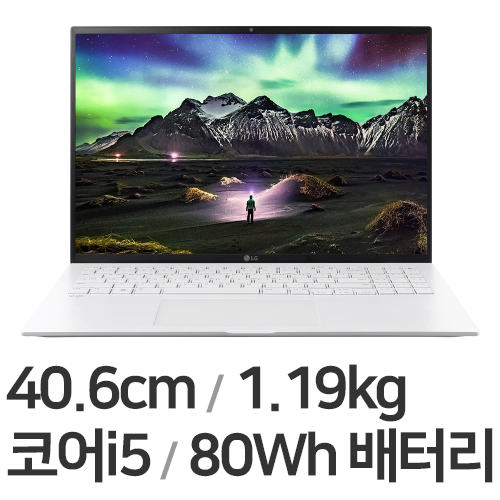 LG전자 2022 그램16 16ZD95P-GX56K (SSD 1TB + SSD 1TB)_이미지