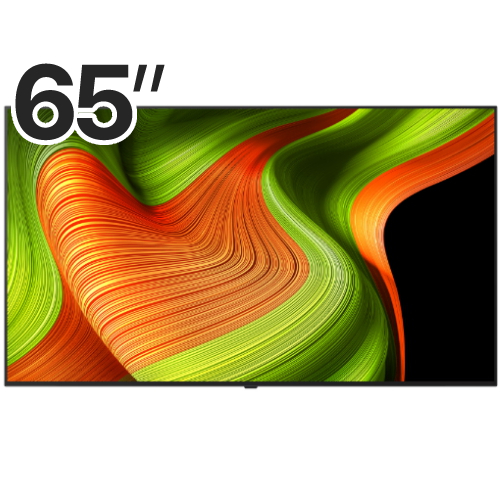 LG���� �÷��� AI OLED65B5HNA
