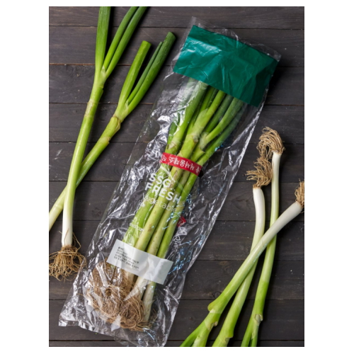 �̸�Ʈ ����� 750g����