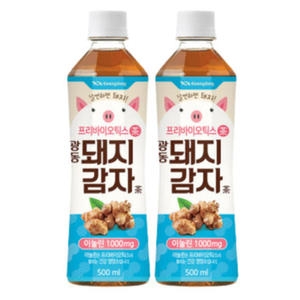 광동제약 프리바이오틱스 돼지감자차 500ml (72개)
