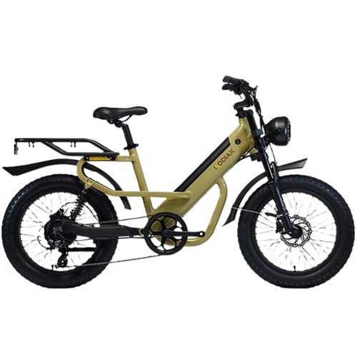 알톤스포츠 코디악 T20 DUAL (2025년형) (48V, 15Ah)_이미지