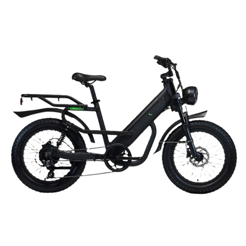 알톤스포츠 코디악 T20 DUAL (2025년형) (48V, 15Ah)_이미지