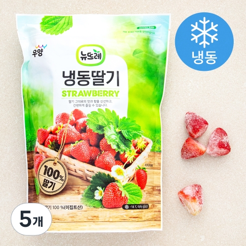 뉴뜨레 이집트산 딸기 홀 냉동 (1kg,5개)_이미지