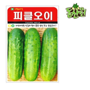 화분월드 피클오이 씨앗  50립  화분월드