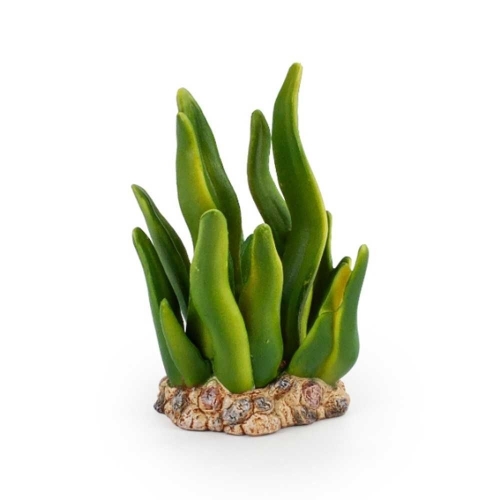 모모스 해초 피규어_이미지