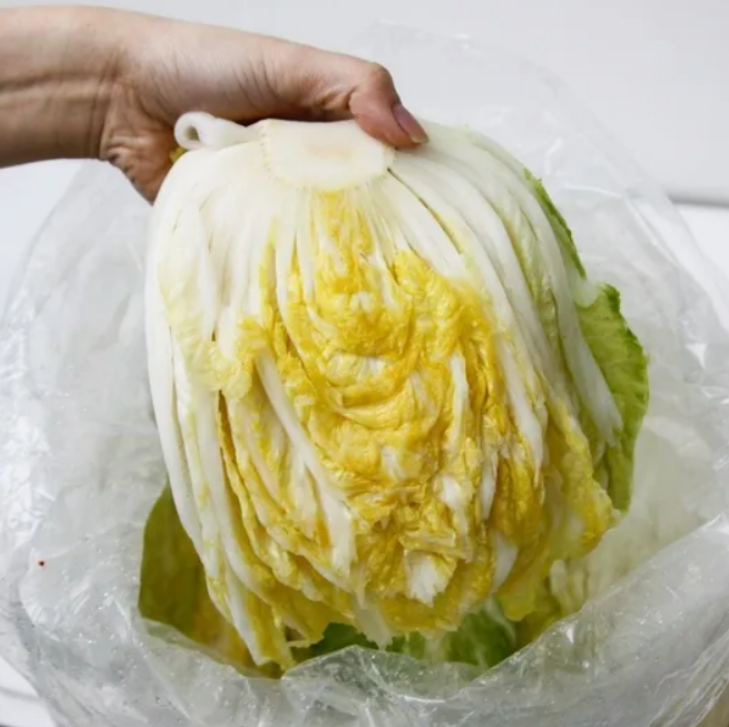 [불명] 강원도 청정 고랭지 절임배추 20kg