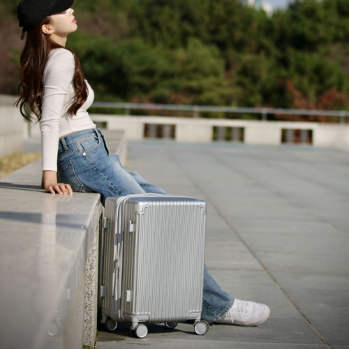 인포트 포스 캐리어 (24인치)