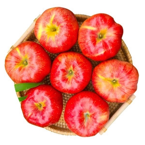 ��ħ�̽���� �ǼӰ��� ù��Ȯ �� ȫ�λ�� 2kg �Ұ� 13-15