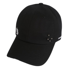 ��Ŀ�� ACC ���� �Ǿ�� ì �� ��ĸ B245AP325P