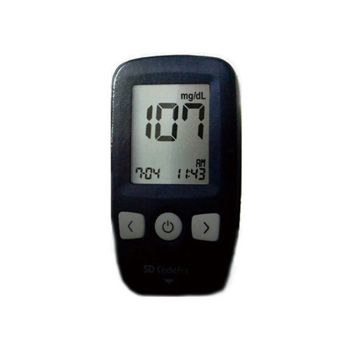 SD���̿����� SD �ڵ�����