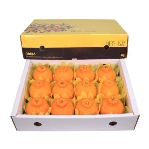 삼다몰 제주 한라봉 3kg 5kg 10kg 한라봉 중 3kg 1박스_이미지