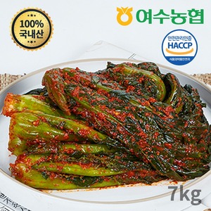 여수농협 돌산갓김치 5kg + 갓김치 2kg [1개]